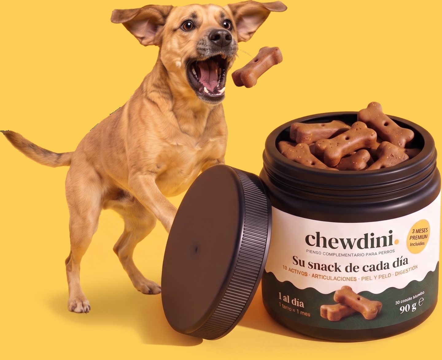 A mixed-breed dog leaps to catch a bone-shaped chew beside the open black Chewdini jar full of chews, its lid leaning on it